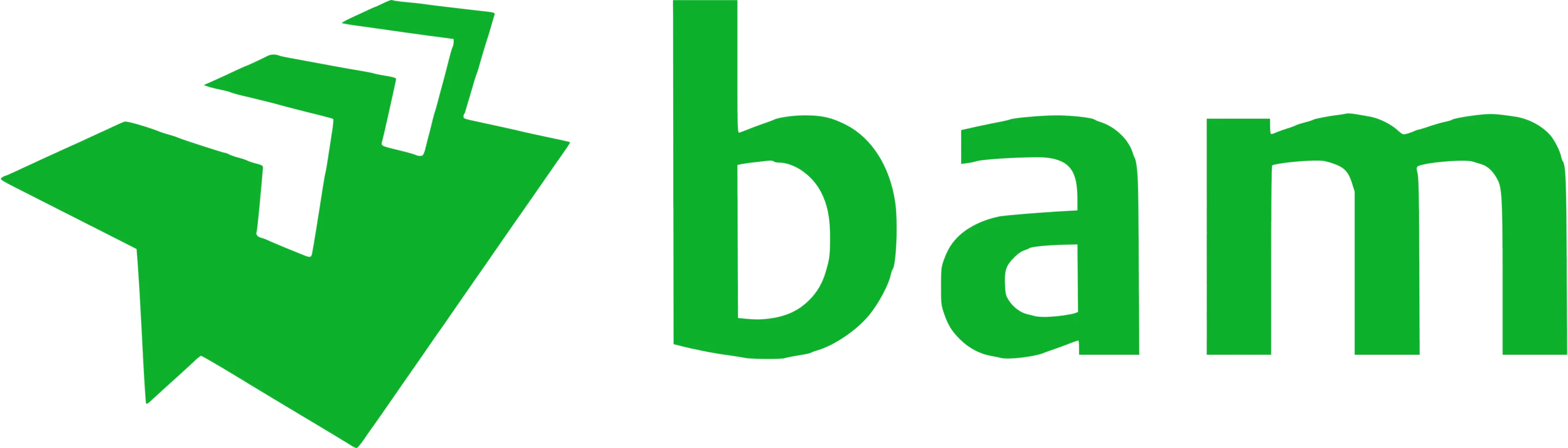 BAM